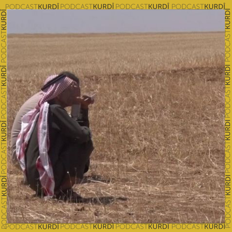Rojava- Îsal jî hişkesalî bi ser cotkaran de hat